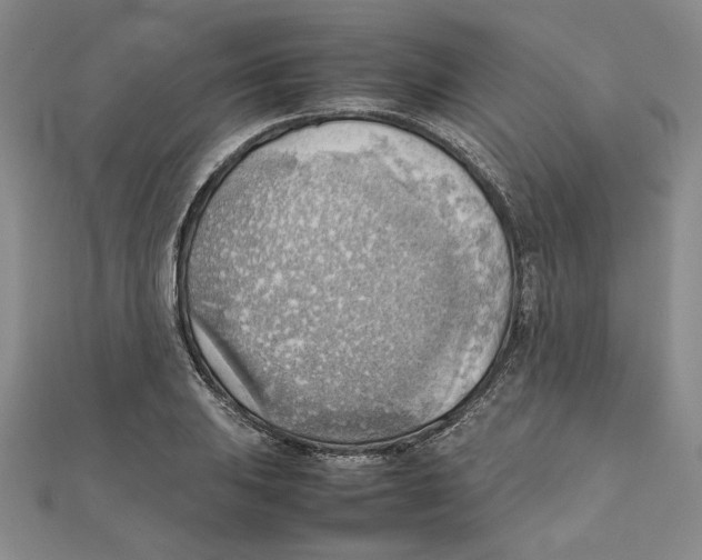 X0000111351031200908071128