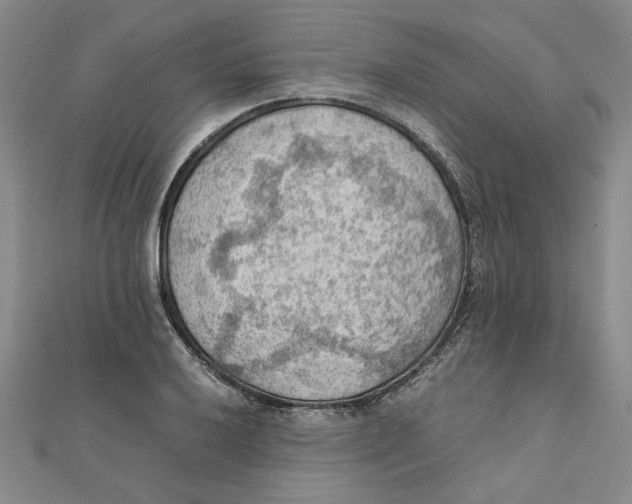 X0000111351032200908071128