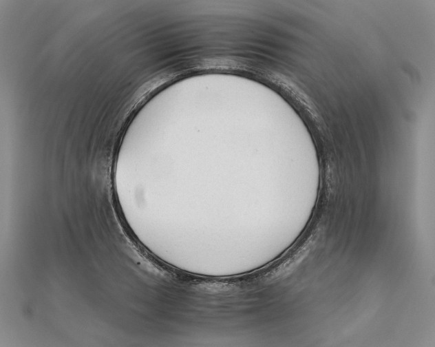 X0000111351033200908071128