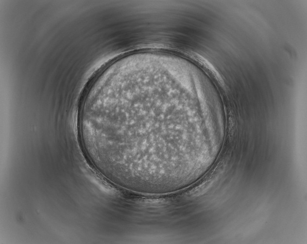 X0000111351035200908071129