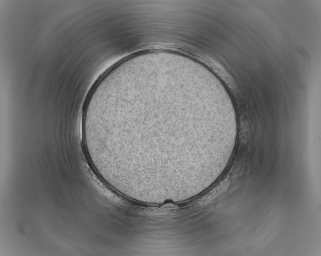 X0000111351036200908071129