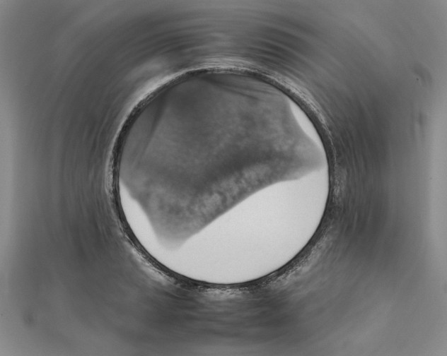 X0000111351037200908071129