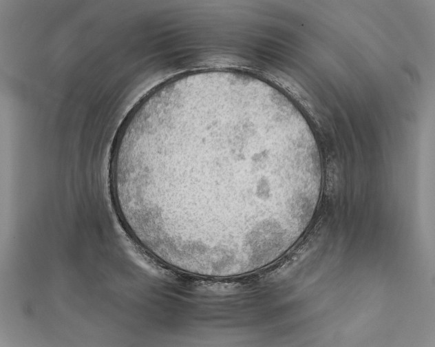 X0000111351039200908071129