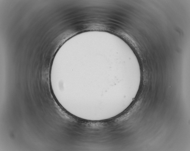 X0000111351041200908071129