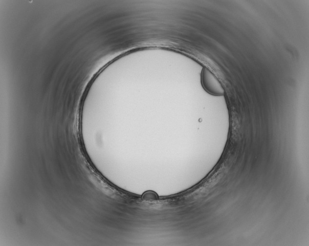 X0000111351044200908071129