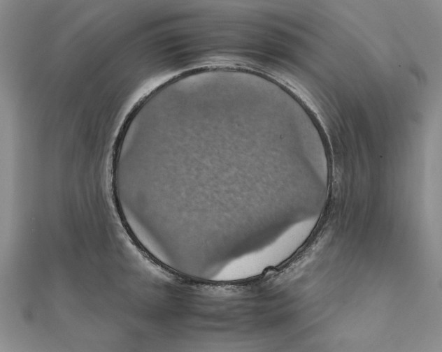 X0000111351045200908071129