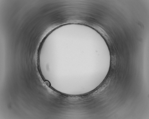 X0000111351046200908071129