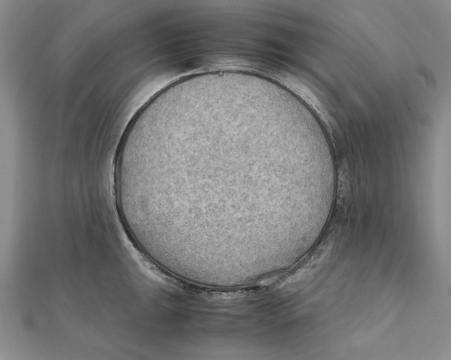 X0000111351047200908071129