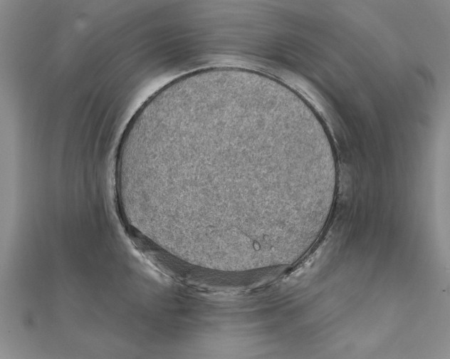 X0000111351048200908071129