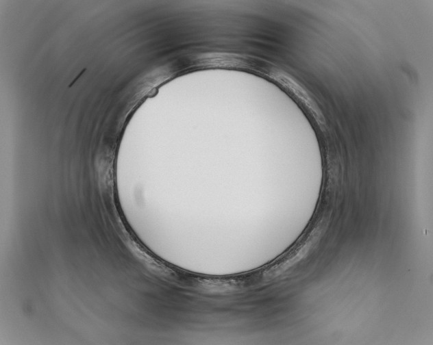 X0000111351049200908071129
