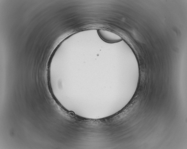 X0000111351050200908071129