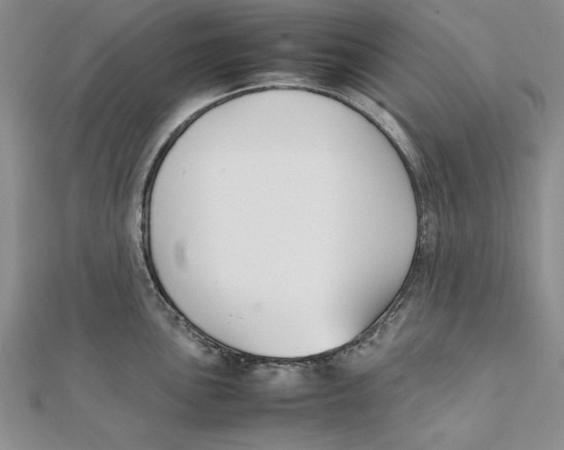 X0000111351051200908071129