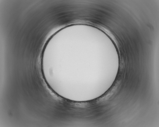 X0000111351053200908071129