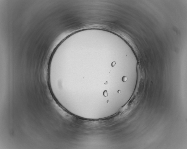 X0000111351054200908071129