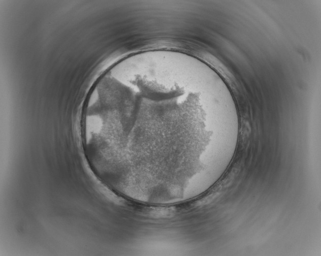 X0000111351055200908071129