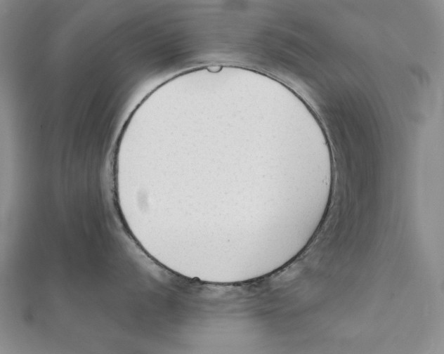 X0000111351056200908071129