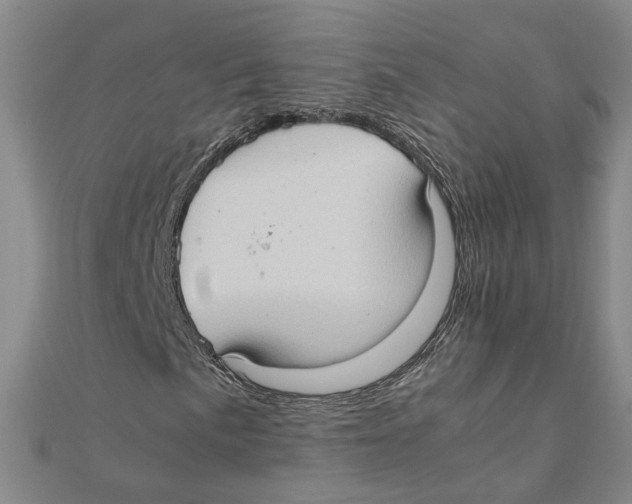 X0000111351057200908071128