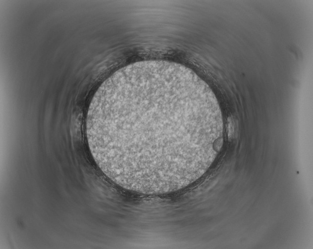 X0000111351059200908071128