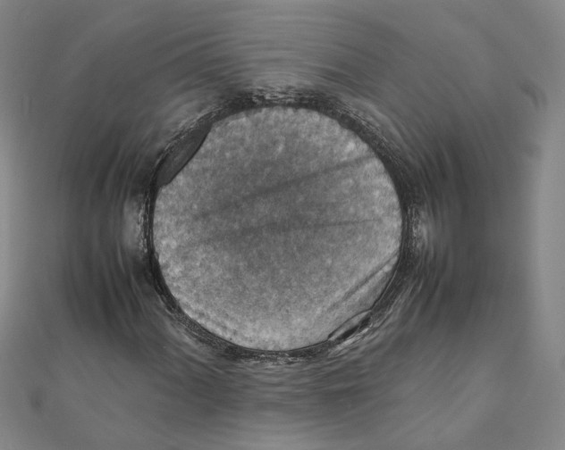 X0000111351060200908071128