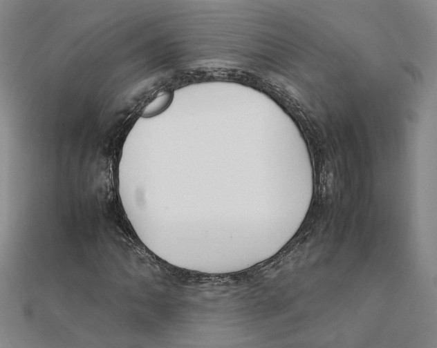 X0000111351062200908071128
