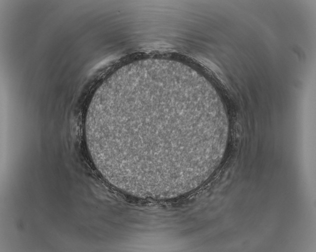 X0000111351063200908071128