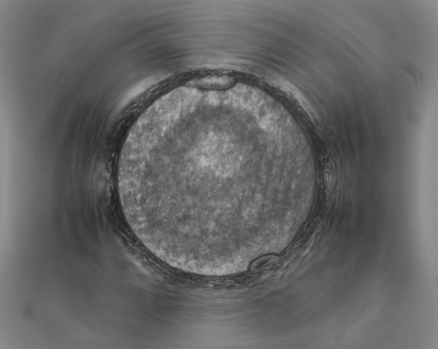 X0000111351064200908071128