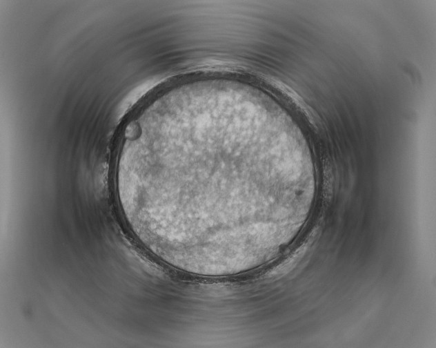 X0000111351066200908071128