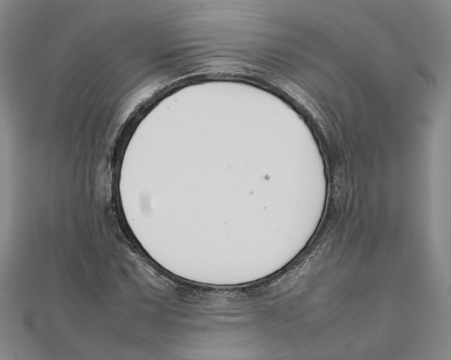 X0000111351067200908071128