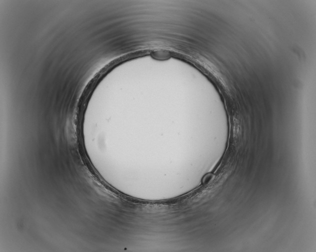X0000111351068200908071128