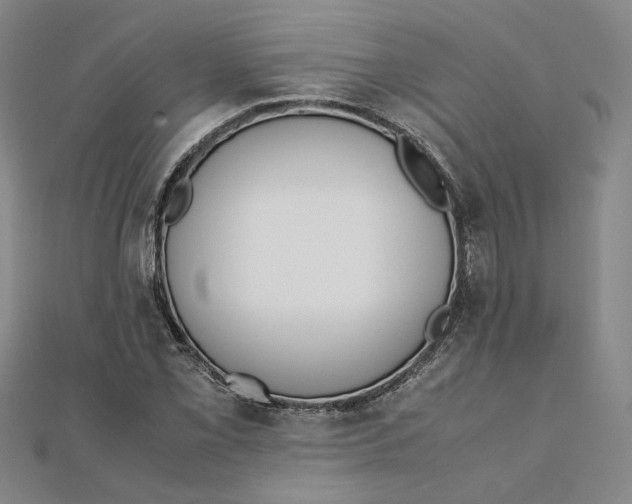 X0000111351069200908071128