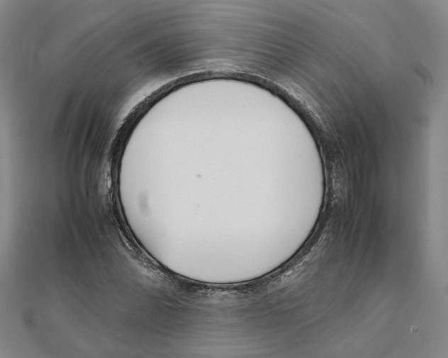 X0000111351070200908071128