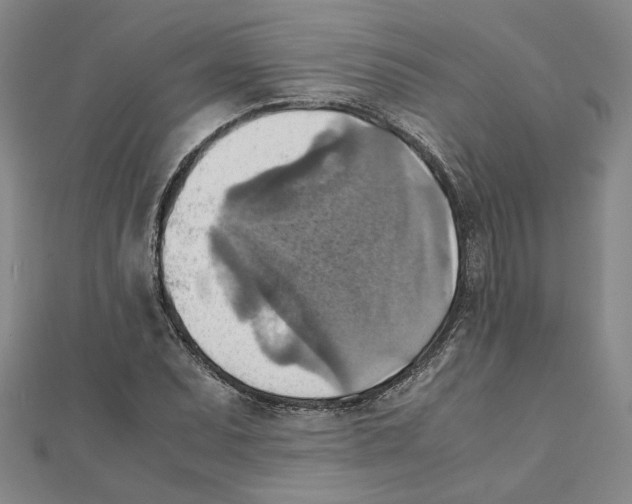 X0000111351071200908071128