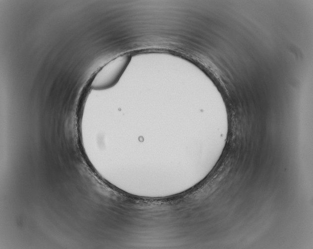 X0000111351072200908071128
