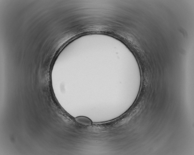 X0000111351073200908071128
