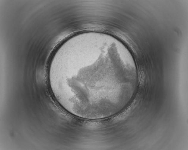 X0000111351074200908071128
