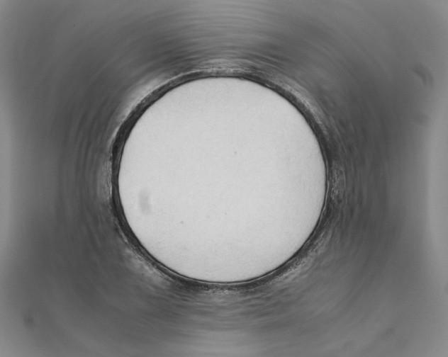 X0000111351075200908071128
