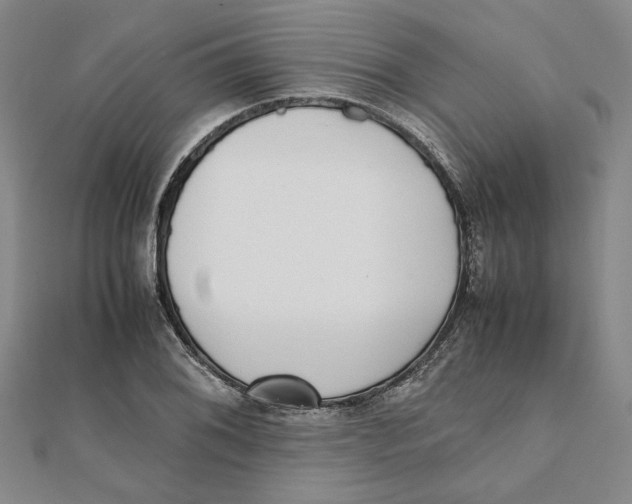 X0000111351076200908071128