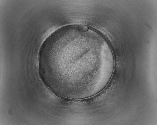 X0000111351077200908071128