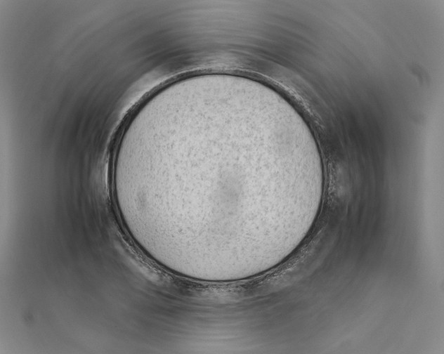 X0000111351078200908071128