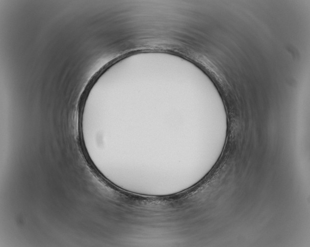 X0000111351079200908071128