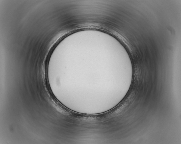 X0000111351082200908071128