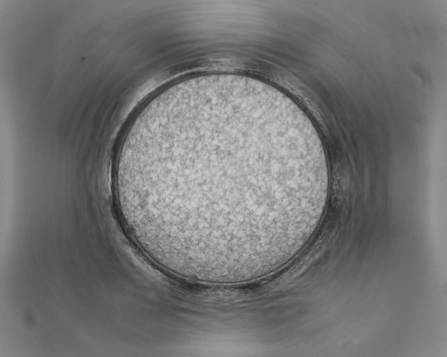 X0000111351083200908071128