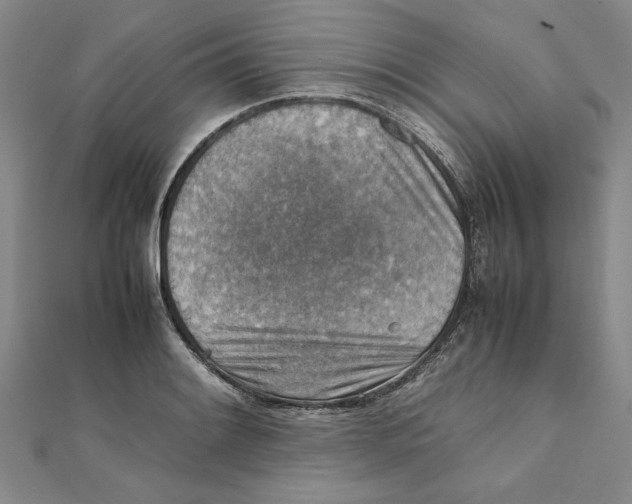 X0000111351084200908071128