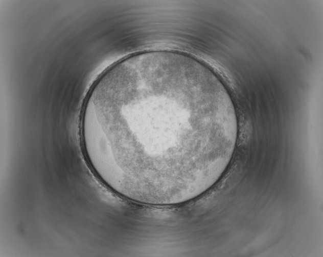 X0000111351086200908071128