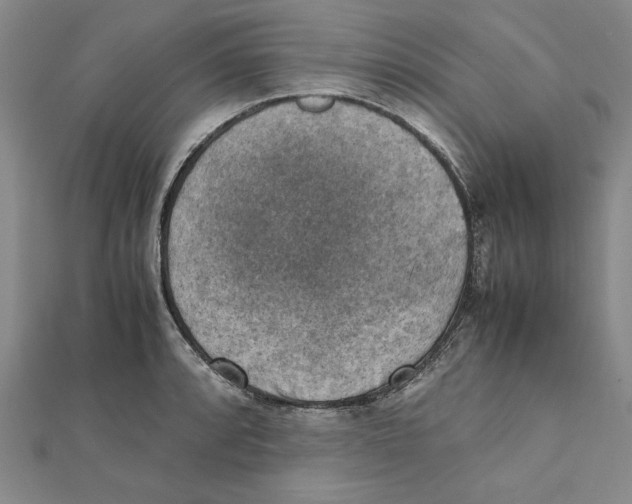 X0000111351088200908071128