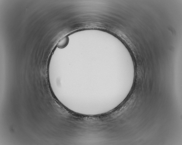 X0000111351089200908071128