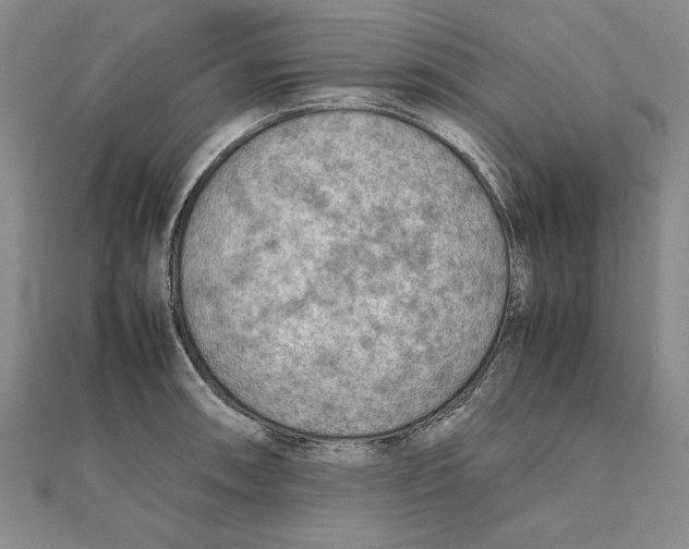 X0000111351090200908071128