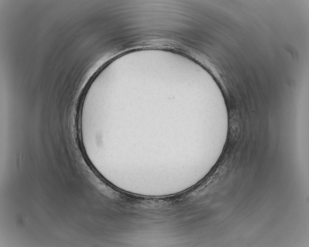 X0000111351091200908071128