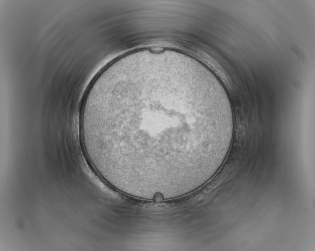 X0000111351092200908071128