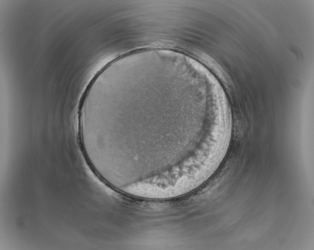 X0000111351095200908071128